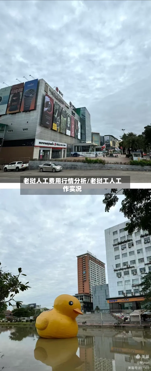 老挝人工费用行情分析/老挝工人工作实况-第3张图片