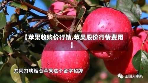 【苹果收购价行情,苹果股价行情费用】