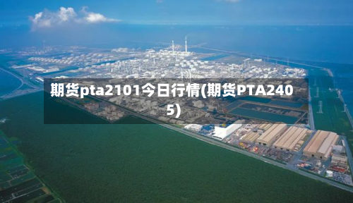 期货pta2101今日行情(期货PTA2405)-第3张图片