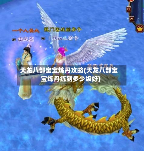 天龙八部宝宝炼丹攻略(天龙八部宝宝炼丹练到多少级好)-第2张图片