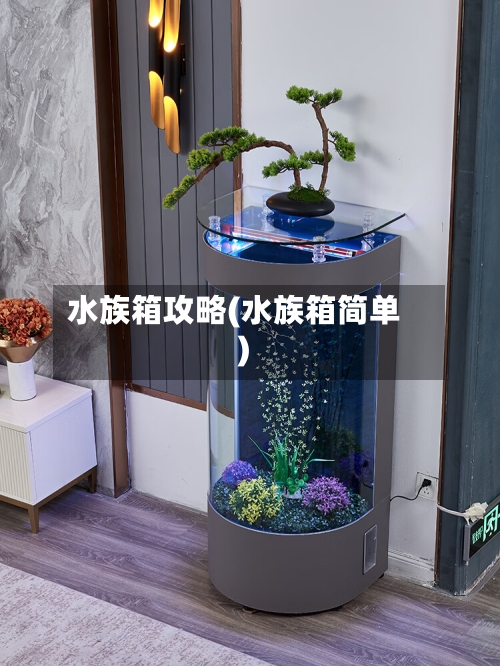 水族箱攻略(水族箱简单)-第2张图片