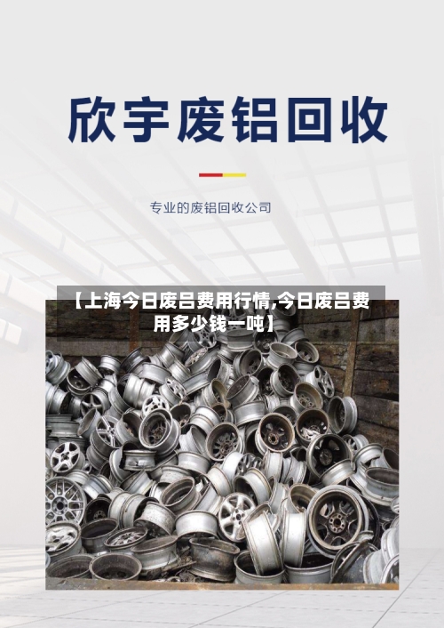 【上海今日废吕费用行情,今日废吕费用多少钱一吨】-第2张图片