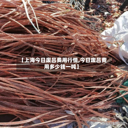 【上海今日废吕费用行情,今日废吕费用多少钱一吨】