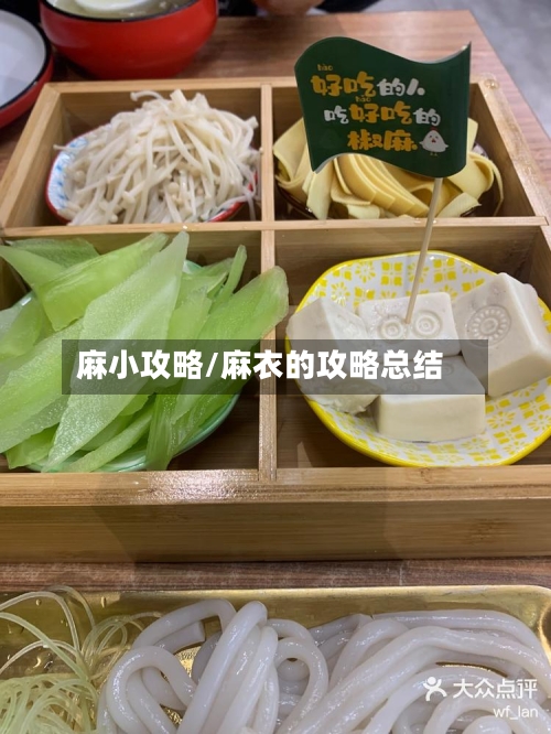 麻小攻略/麻衣的攻略总结