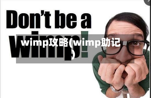 wimp攻略(wimp助记)-第2张图片