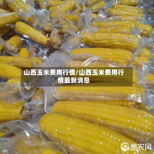 山西玉米费用行情/山西玉米费用行情最新消息-第3张图片