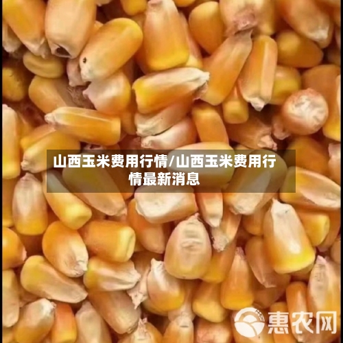 山西玉米费用行情/山西玉米费用行情最新消息