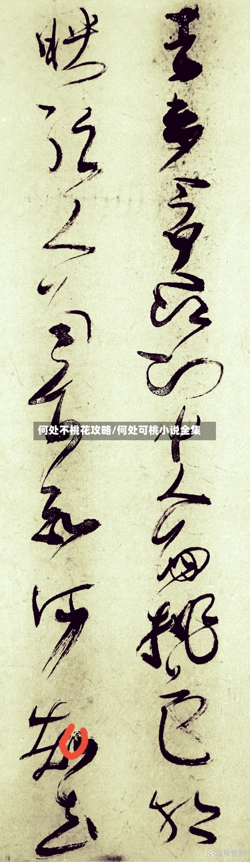 何处不桃花攻略/何处可桃小说全集