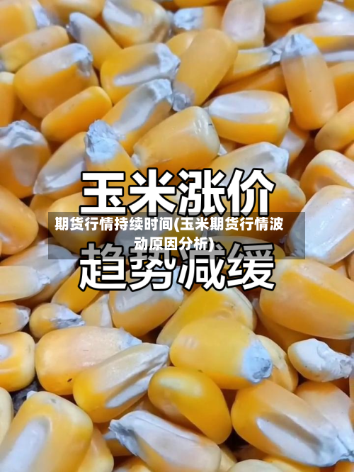 期货行情持续时间(玉米期货行情波动原因分析)-第2张图片