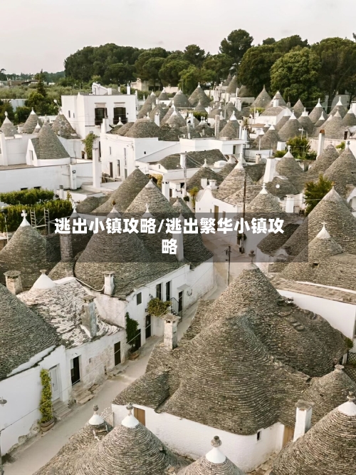 逃出小镇攻略/逃出繁华小镇攻略-第3张图片