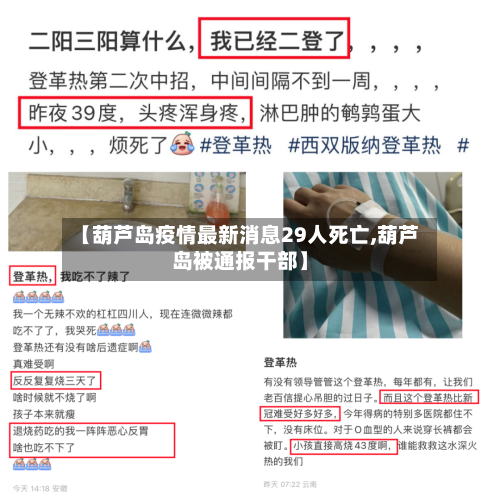 【葫芦岛疫情最新消息29人死亡,葫芦岛被通报干部】-第3张图片