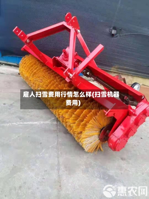 雇人扫雪费用行情怎么样(扫雪机器费用)-第2张图片