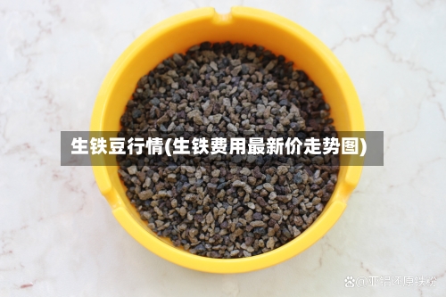 生铁豆行情(生铁费用最新价走势图)-第2张图片