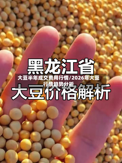 大豆半年成交费用行情/2026年大豆行情趋势分析-第3张图片