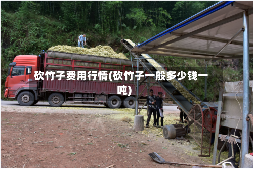 砍竹子费用行情(砍竹子一般多少钱一吨)