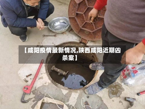 【咸阳疫情最新情况,陕西咸阳近期凶杀案】-第3张图片