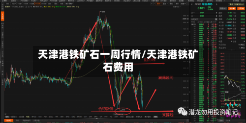 天津港铁矿石一周行情/天津港铁矿石费用-第2张图片