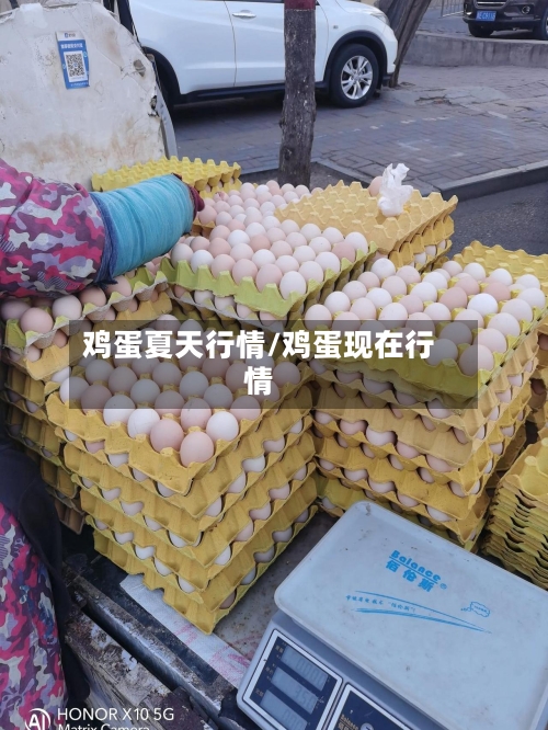鸡蛋夏天行情/鸡蛋现在行情-第2张图片
