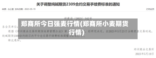 郑商所今日强麦行情(郑商所小麦期货行情)