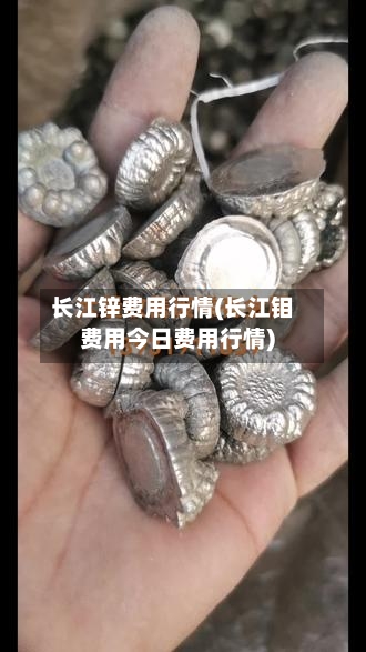 长江锌费用行情(长江钼费用今日费用行情)