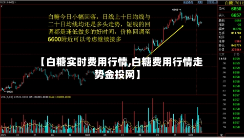 【白糖实时费用行情,白糖费用行情走势金投网】-第2张图片