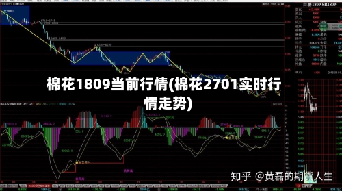 棉花1809当前行情(棉花2701实时行情走势)-第2张图片