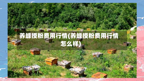 养蜂授粉费用行情(养蜂授粉费用行情怎么样)