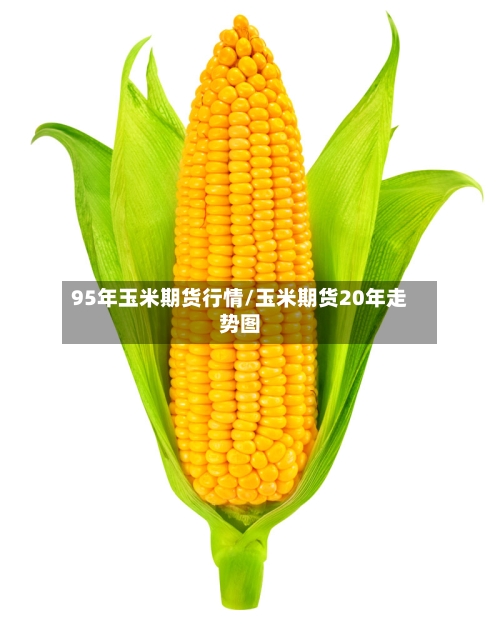 95年玉米期货行情/玉米期货20年走势图-第2张图片