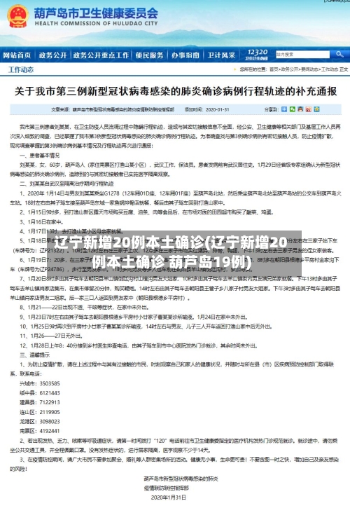 辽宁新增20例本土确诊(辽宁新增20例本土确诊 葫芦岛19例)-第2张图片