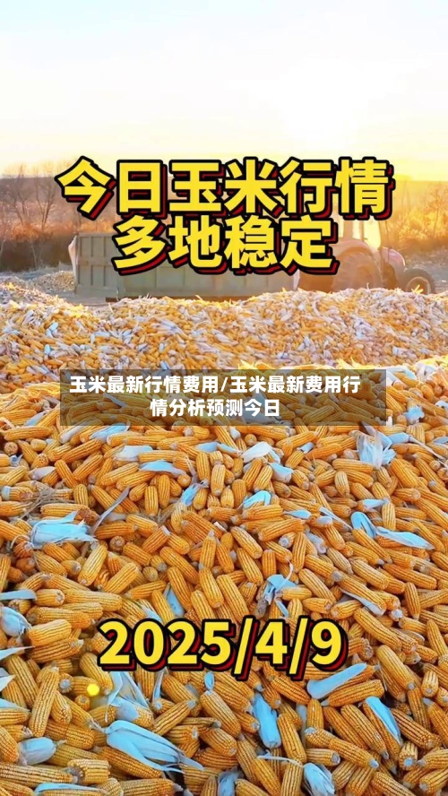 玉米最新行情费用/玉米最新费用行情分析预测今日-第2张图片