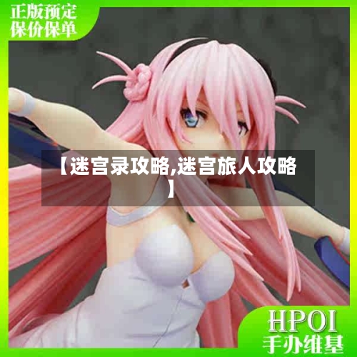 【迷宫录攻略,迷宫旅人攻略】
