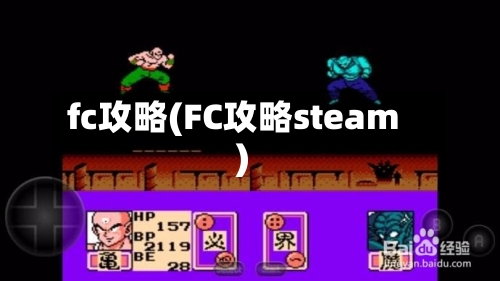 fc攻略(FC攻略steam)