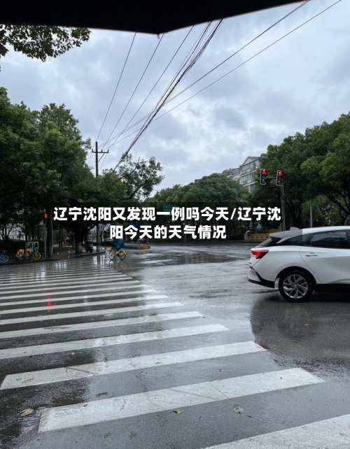辽宁沈阳又发现一例吗今天/辽宁沈阳今天的天气情况