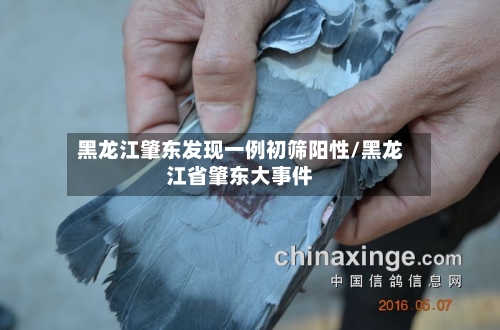 黑龙江肇东发现一例初筛阳性/黑龙江省肇东大事件