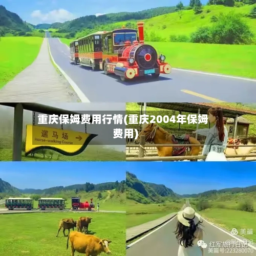 重庆保姆费用行情(重庆2004年保姆费用)-第2张图片