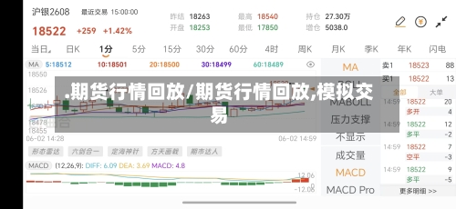 .期货行情回放/期货行情回放,模拟交易