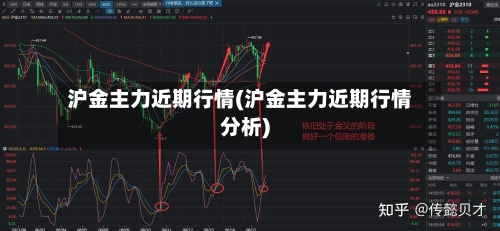 沪金主力近期行情(沪金主力近期行情分析)