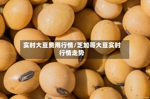 实时大豆费用行情/芝加哥大豆实时行情走势