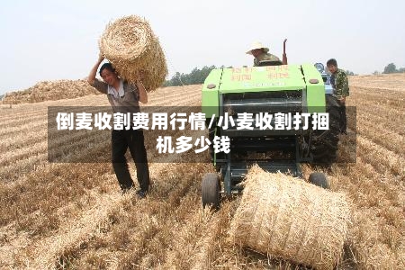 倒麦收割费用行情/小麦收割打捆机多少钱