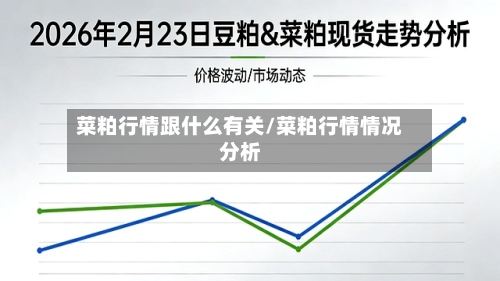 菜粕行情跟什么有关/菜粕行情情况分析-第3张图片