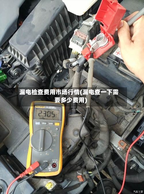 漏电检查费用市场行情(漏电查一下需要多少费用)