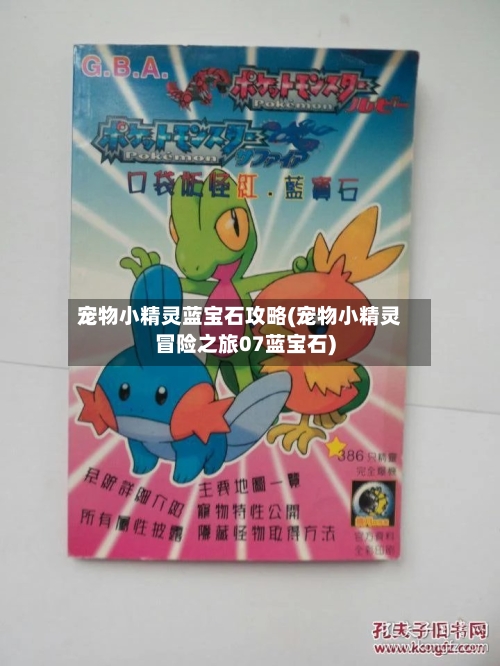 宠物小精灵蓝宝石攻略(宠物小精灵冒险之旅07蓝宝石)-第2张图片