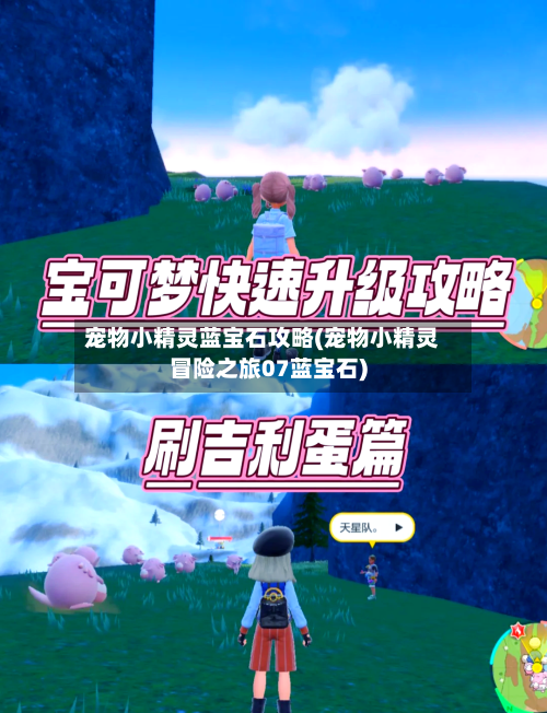 宠物小精灵蓝宝石攻略(宠物小精灵冒险之旅07蓝宝石)-第3张图片