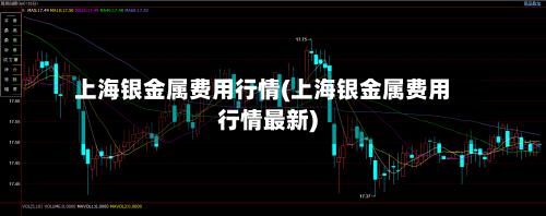 上海银金属费用行情(上海银金属费用行情最新)-第3张图片