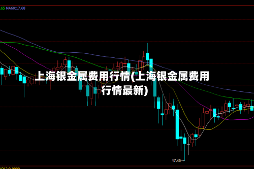 上海银金属费用行情(上海银金属费用行情最新)