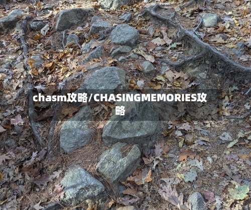 chasm攻略/CHASINGMEMORIES攻略-第2张图片