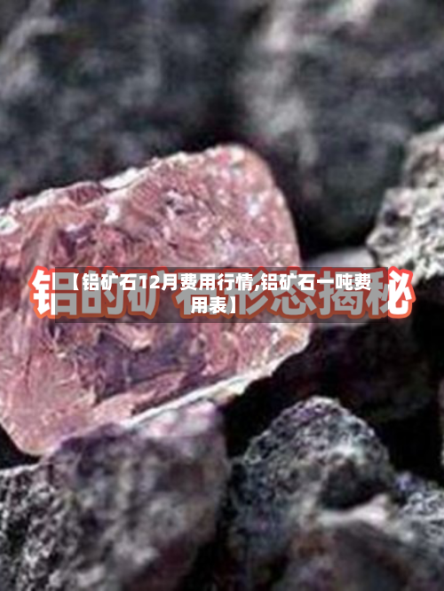 【铝矿石12月费用行情,铝矿石一吨费用表】-第3张图片