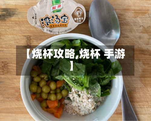 【烧杯攻略,烧杯 手游】