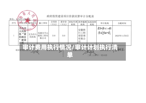 审计费用执行情况/审计计划执行清单