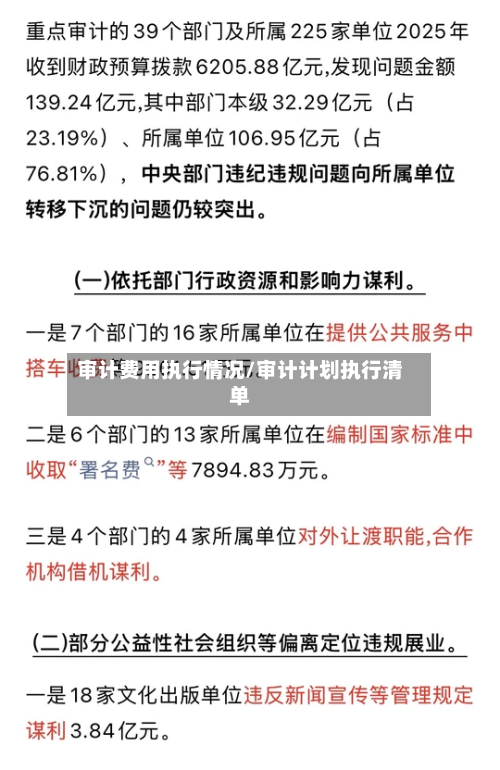 审计费用执行情况/审计计划执行清单-第2张图片